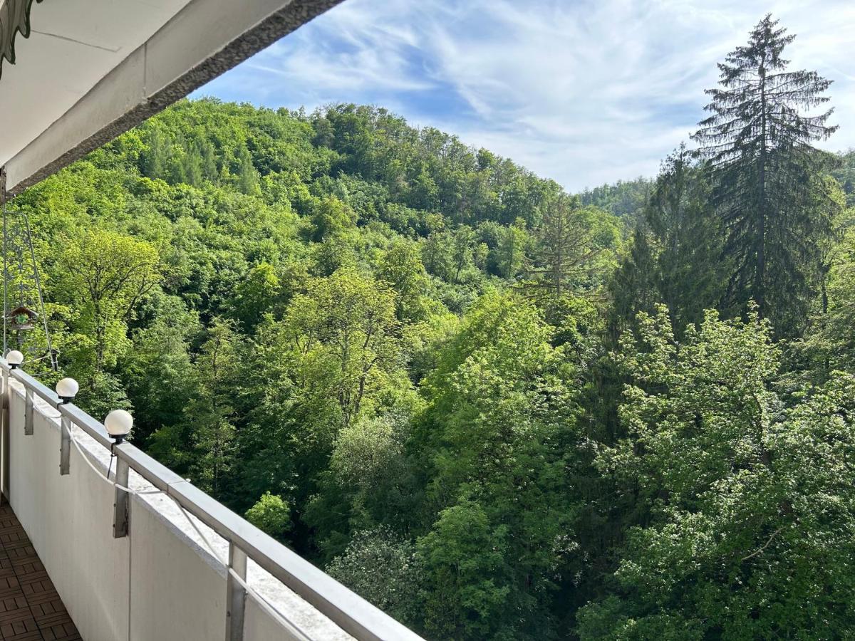 Wald-Idyll: Urlaub Im Gruenen Apartamento Bad Harzburg Exterior foto